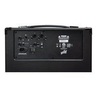 Rear ports panel of Aguilar Tone Hammer 210 Combo on white background