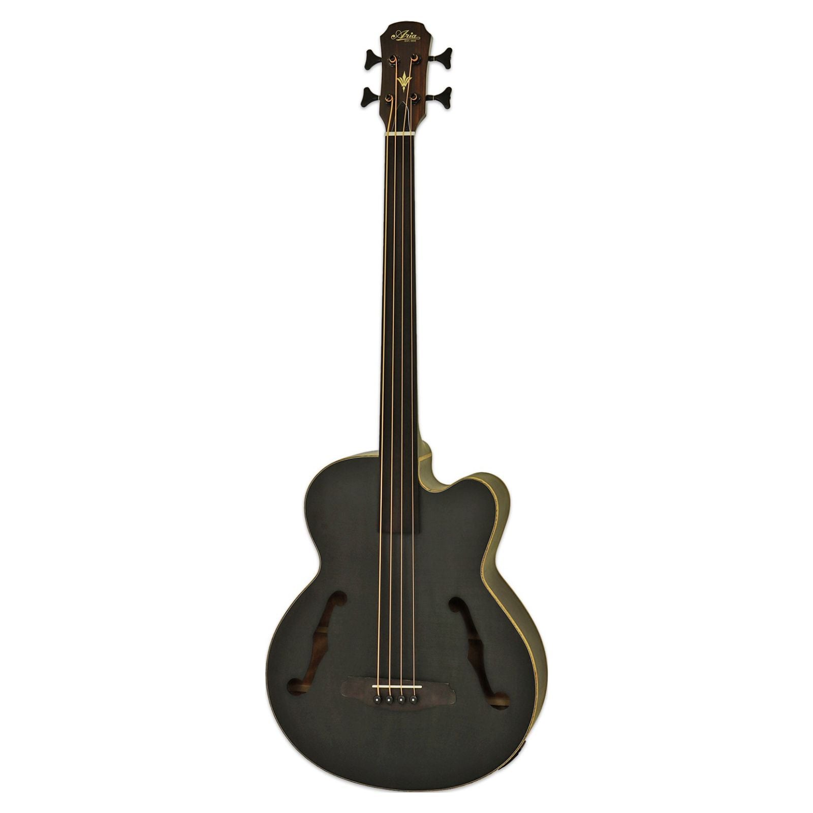 Aria FEB-F2M/FL Fretless Bass | All Colors Available – DeathCloud