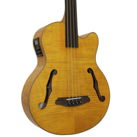 Close up view of Aria FEB-F2M/FL Fretless Bass Stained Brown on white background