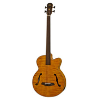 Aria FEB-F2/FL Full Scale Electro-Acoustic Fretless Bass