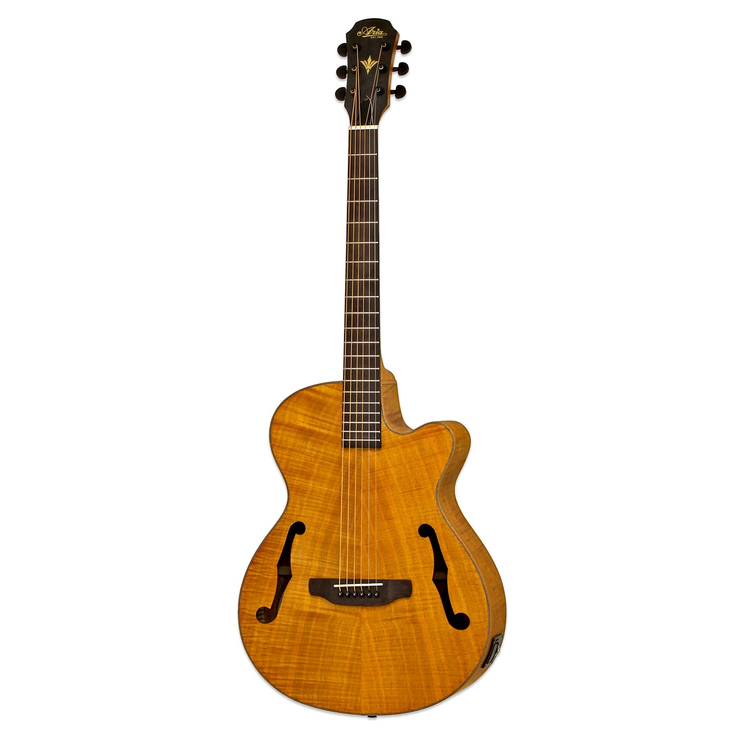 Aria FET-F2 Electro Acoustic Guitar