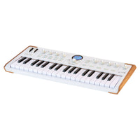 Angled view of Arturia AstroLab 37 Stage Keyboard on white background