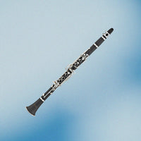 Eldon By Antigua CL-211 Bb Clarinet