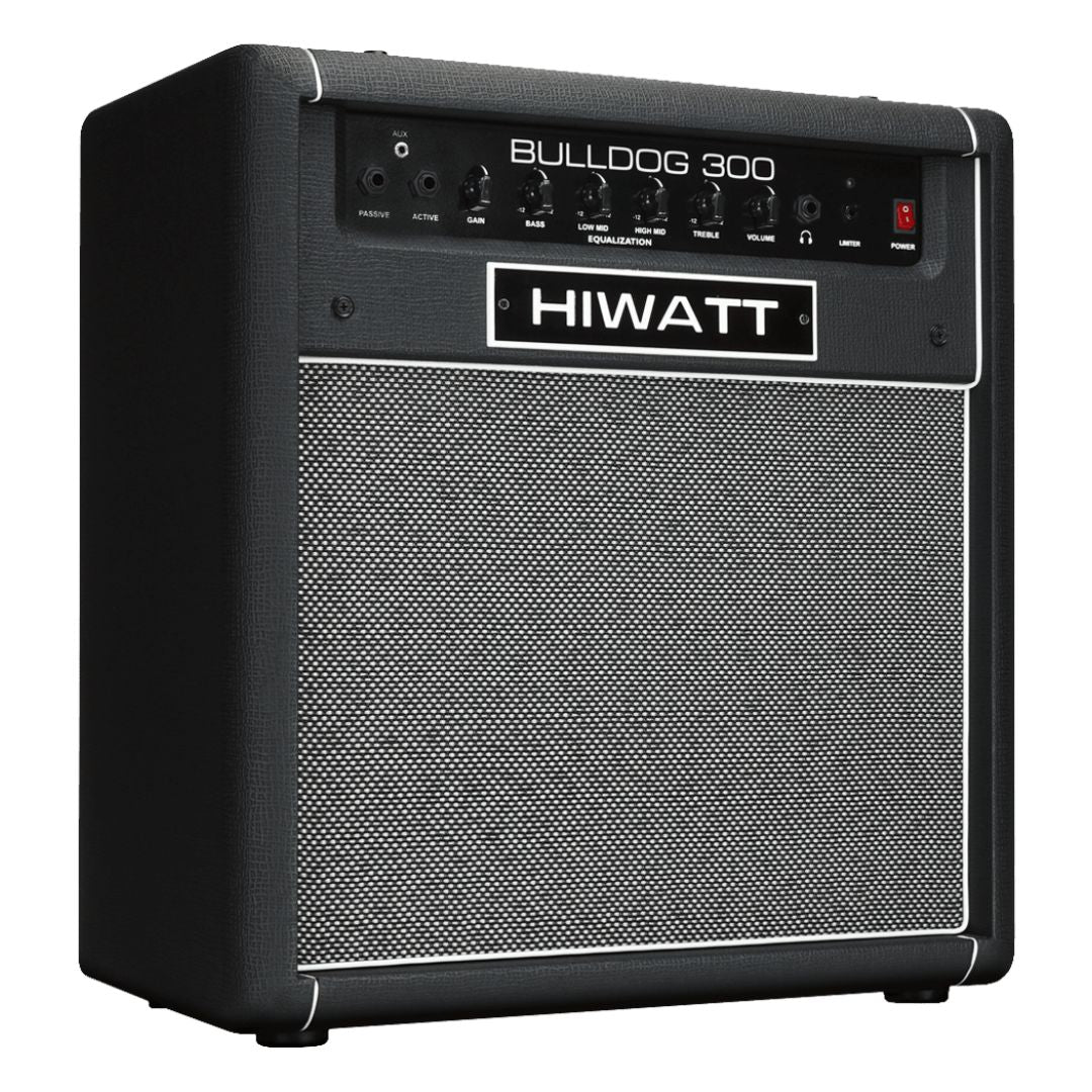 Angled front view of Hiwatt Bulldog 300 Combo Bass Amplifier on white background