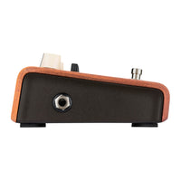 LR Baggs Align Series Reverb Pedal