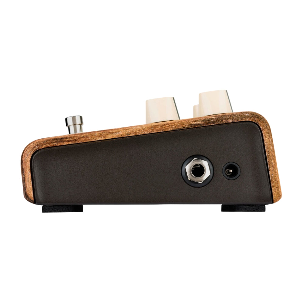 LR Baggs Align Series Session Pedal