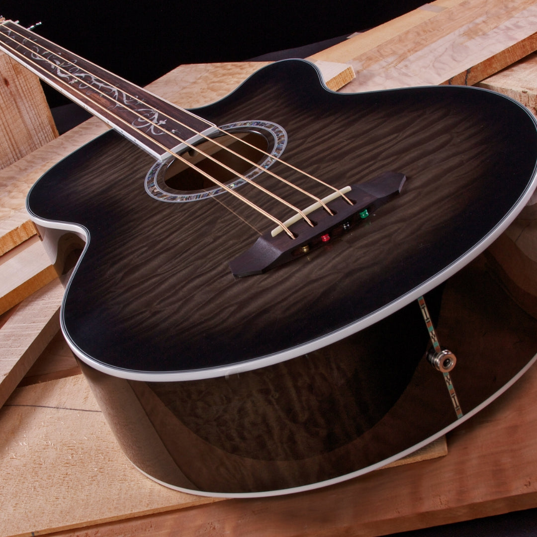 Michael Kelly Dragonfly 4 Fretless Acoustic Bass Guitar (Smoke Burst)