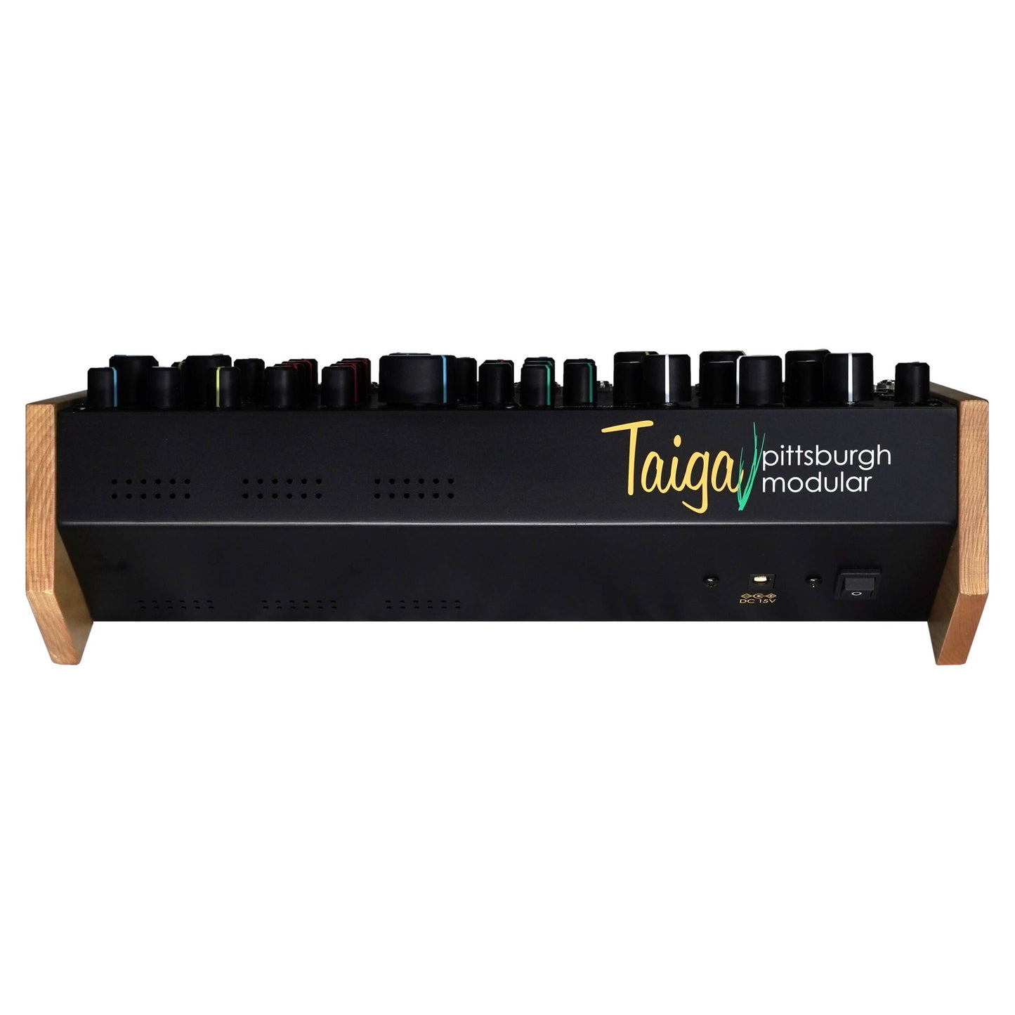 Rear ports view of Pittsburgh Modular Taiga Paraphonic Modular Synthesizer on white background