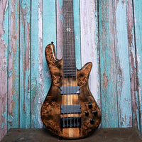 Close up front view of Spector NS Ethos 5-String Bass Guitar Super Faded Black Gloss with green-painted wood background