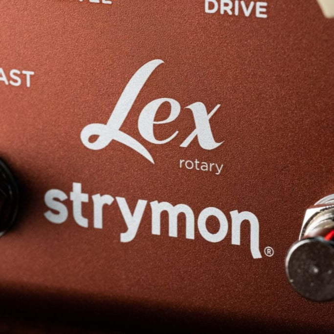 Close up view of Strymon Lex