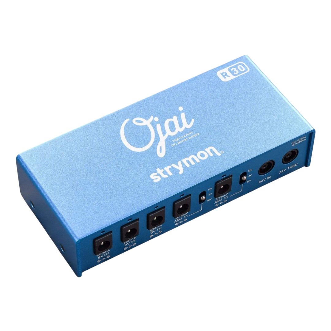 Angled front view of Strymon Ojai R30 Expansion Kit on white background