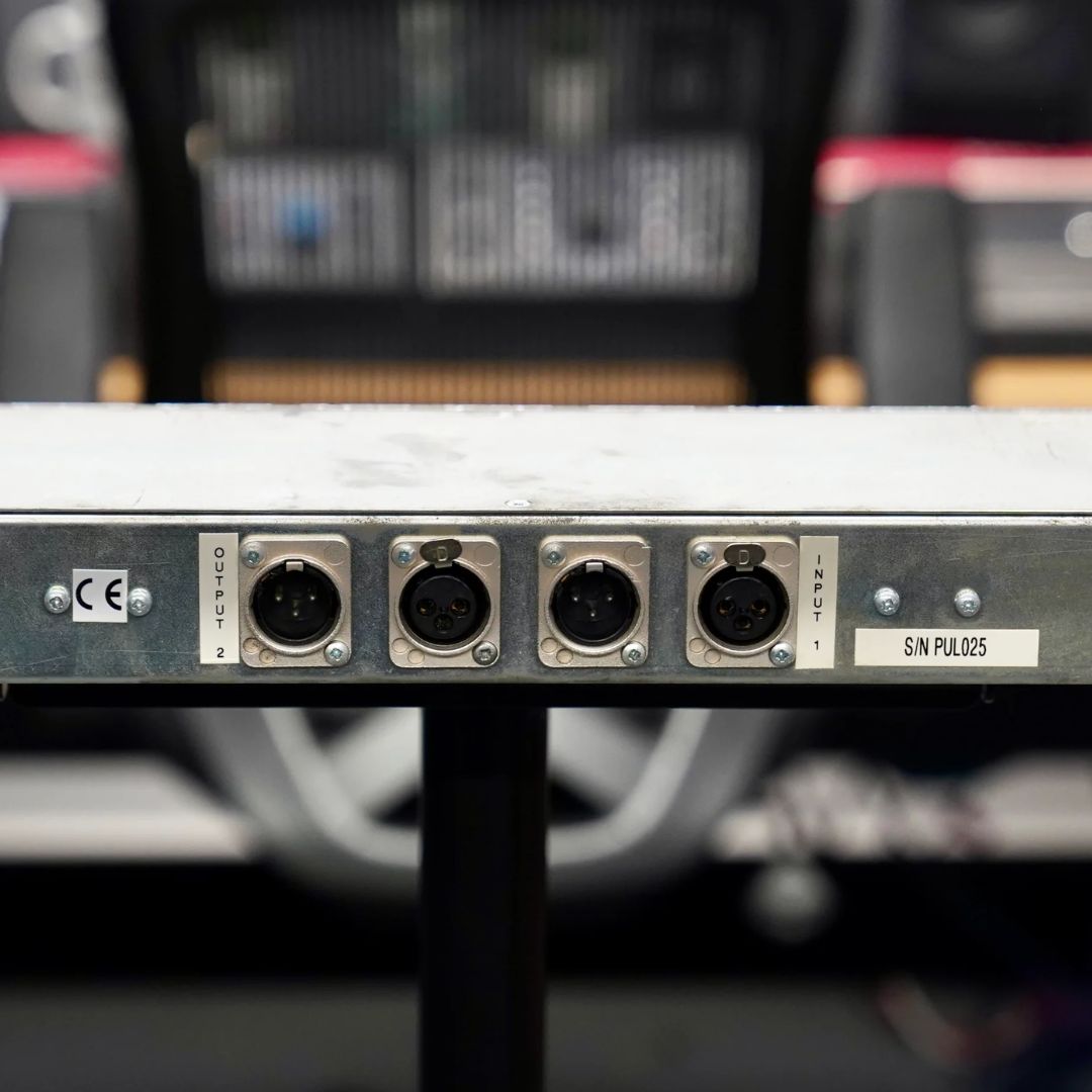 Close up of rear panel of Thermionic Culture Pullet with studio background