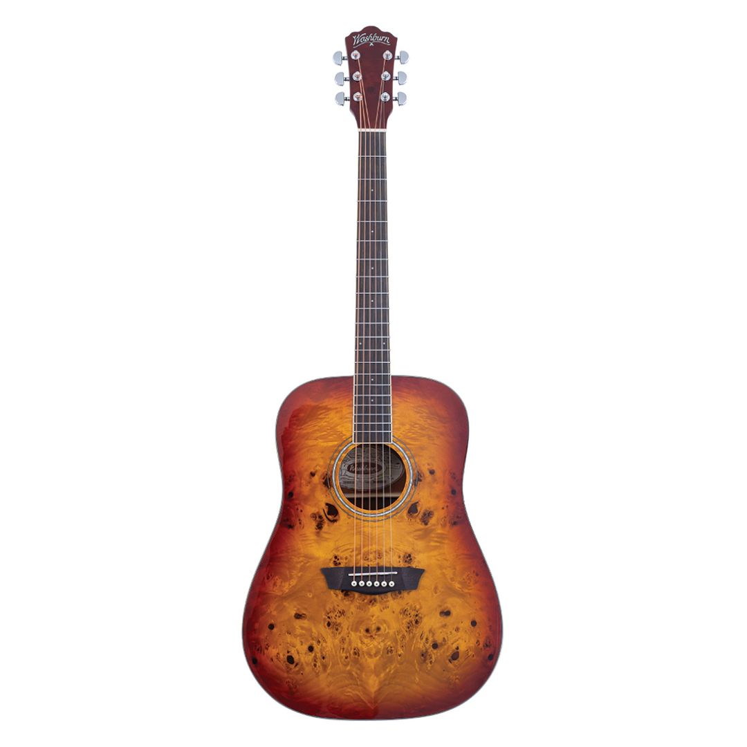Washburn Deep Forest Burl D Acoustic Guitar
