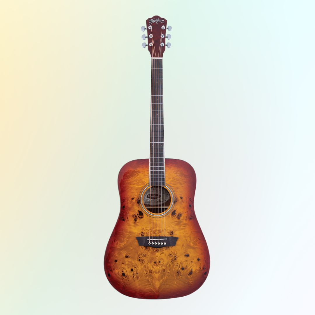 Washburn Deep Forest Burl D Acoustic Guitar