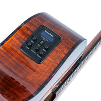 Close up view of pickup of Washburn G12FCE on white background