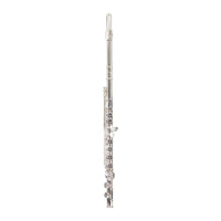 Antigua Vosi FL2110SL Closed Hole Flute