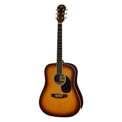 Aria AWN-15 Acoustic Guitar