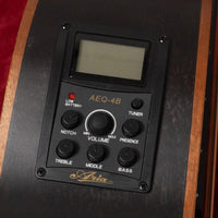 Close up view of Aria FEB-F2M/FL Fretless Bass Stained Black Pickup on red background