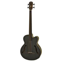 Front view of Aria FEB-F2M/FL Fretless Bass Stained Black on white background