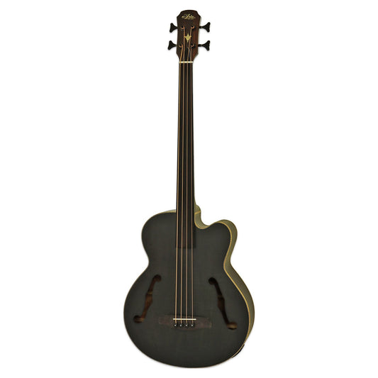 Front view of Aria FEB-F2M/FL Fretless Bass Stained Black on white background