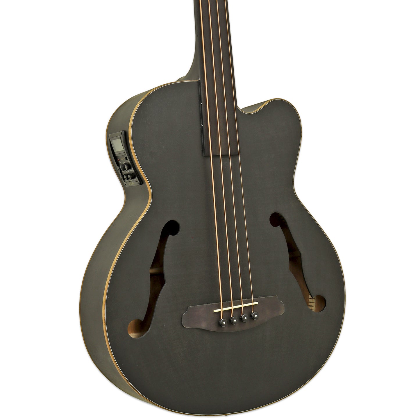 Close up view of Aria FEB-F2M/FL Fretless Bass Stained Black on white background