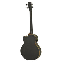 Rear view of Aria FEB-F2M/FL Fretless Bass Stained Black on white background