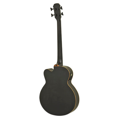Rear view of Aria FEB-F2M/FL Fretless Bass Stained Black on white background