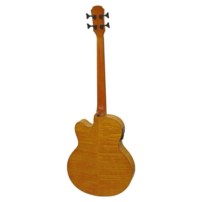 Rear view of Aria FEB-F2M/FL Fretless Bass Stained Brown on white background