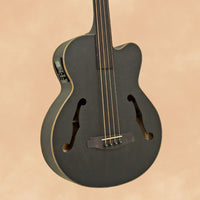 Aria FEB-F2M Medium Scale Electro-Acoustic Fretless Bass
