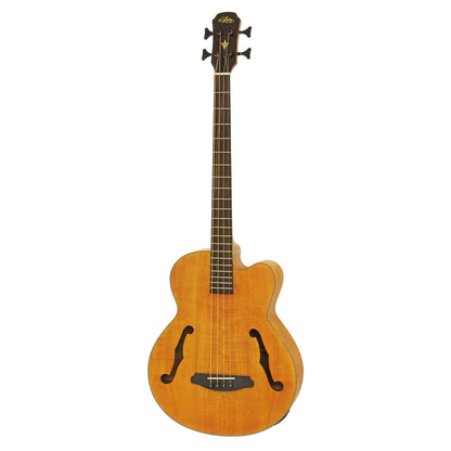 Aria FEB-F2M Medium Scale Electro-Acoustic Fretless Bass