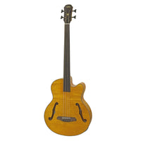 Aria FEB-F2M Medium Scale Electro-Acoustic Fretless Bass