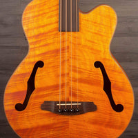 Aria FEB-F2/FL Full Scale Electro-Acoustic Fretless Bass
