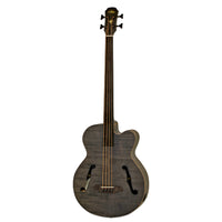 Aria FEB-F2/FL Full Scale Electro-Acoustic Fretless Bass
