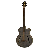 Front view of Aria FEB F2/FL Fretless Bass Stained Black on white background