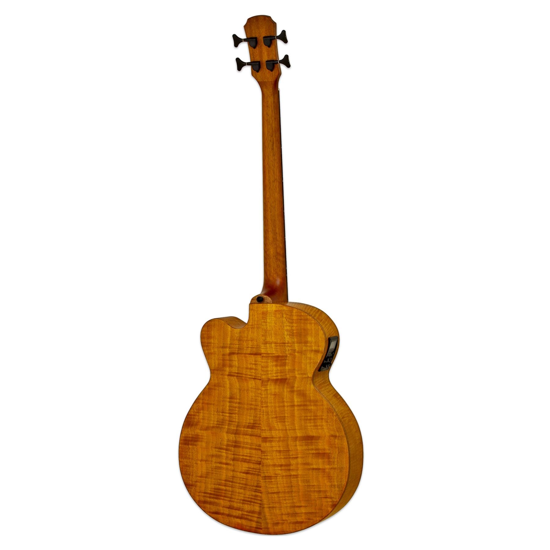 Rear view of Aria FEB F2/FL Fretless Bass Stained Brown on white background