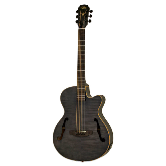 Aria FET-F2 Electro Acoustic Guitar