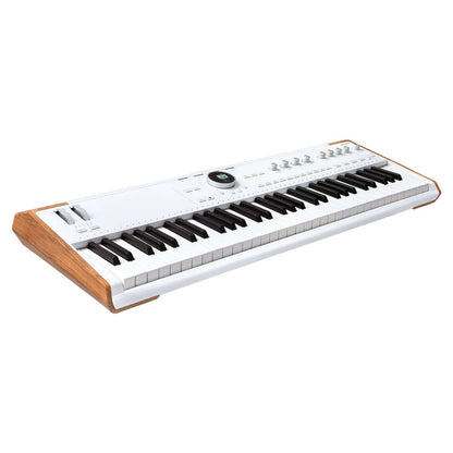 Angled view of Arturia AstroLab 61 Stage Keyboard on white background