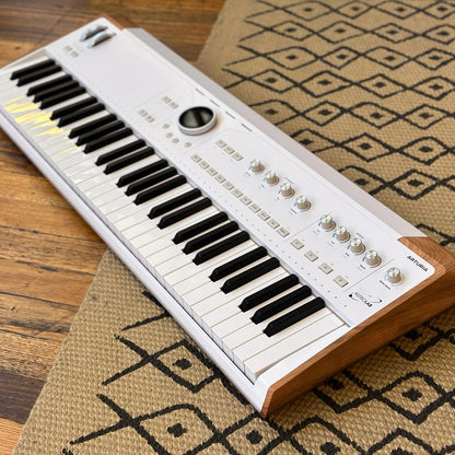 Angled view of Arturia AstroLab 61 Stage Keyboard on beige carpet