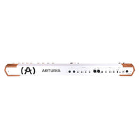 Rear ports view of Arturia AstroLab 61 Stage Keyboard on white background