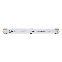 Rear ports view of Arturia AstroLab 88 Stage Keyboard on white background