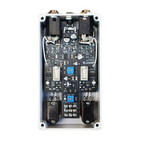 Internals of BLAMMO! TNYDUMBLE Pedal on white background