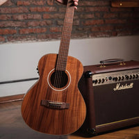 Bamboo Koa Vision Acoustic Electric Guitar