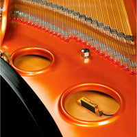 Barcus Berry 4000-BRB Planar Wave System for Piano/Harp