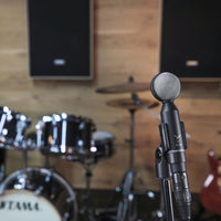 Beyerdynamic M 130 Dynamic Double-Ribbon Microphone