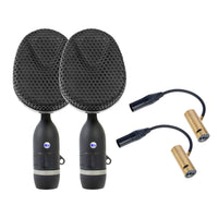 Coles 4038 Matched Pair with 4071B mounts on white background