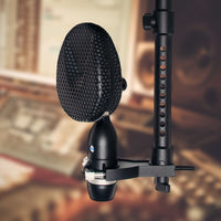 Microphone with a pop filter on a stand against a blurred background