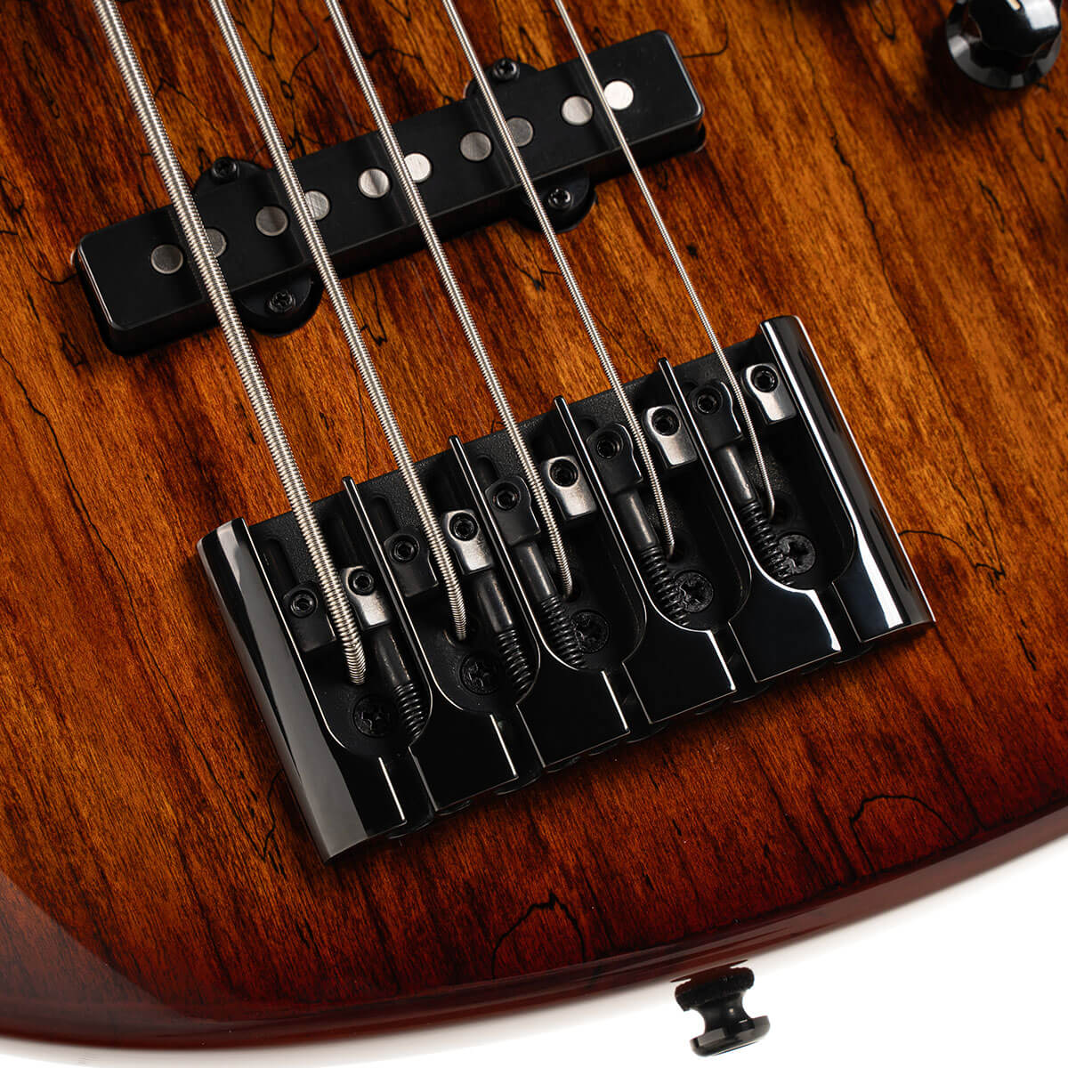 Close up bridge view of Cort GB Fusion 5 String Electric Bass Guitar on white background