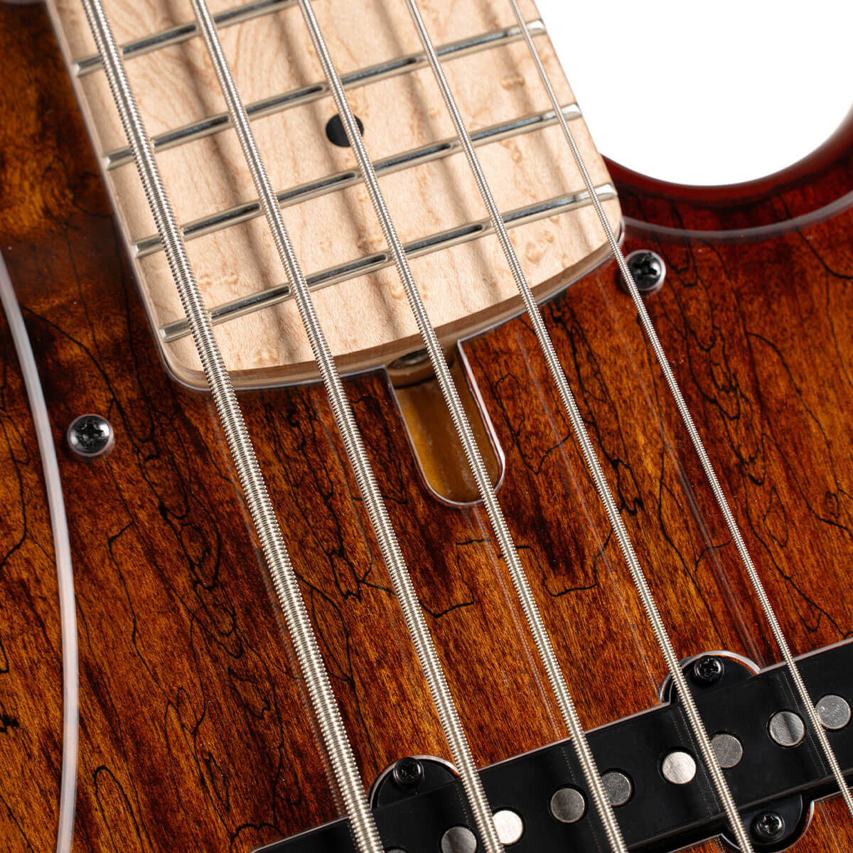 Close up truss rod view of Cort GB Fusion 5 String Electric Bass Guitar on white background