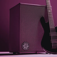 Angled front view of Darkglass Infinity 500 Combo 210 Bass Amplifier with bass leaning on it in studio