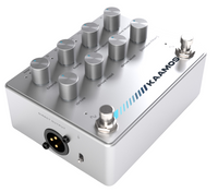 Darkglass Kaamos Angle